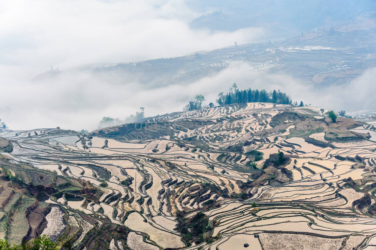 Yuan Yang Rice Terraces by JasonYU