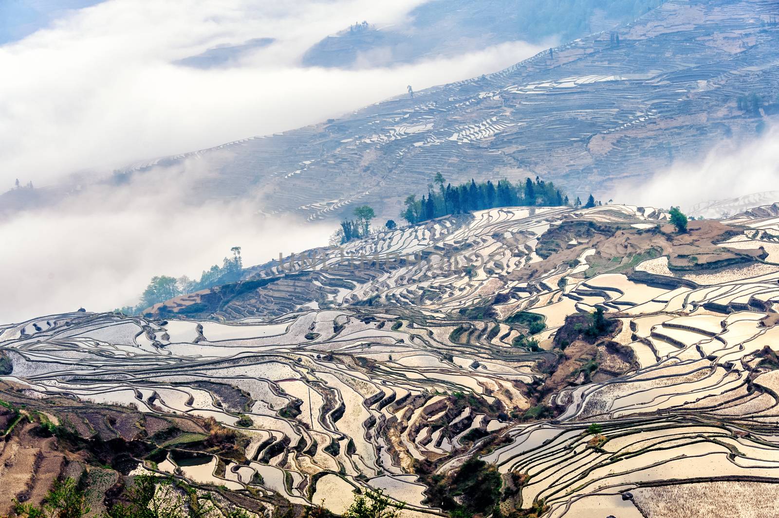 Yuan Yang Rice Terraces by JasonYU