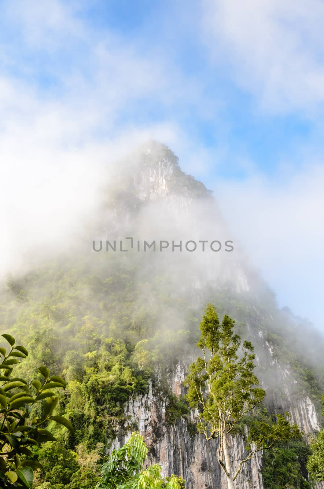 Lush high limestone mountain covered by mist surrounded by tropical forests of Thailand.