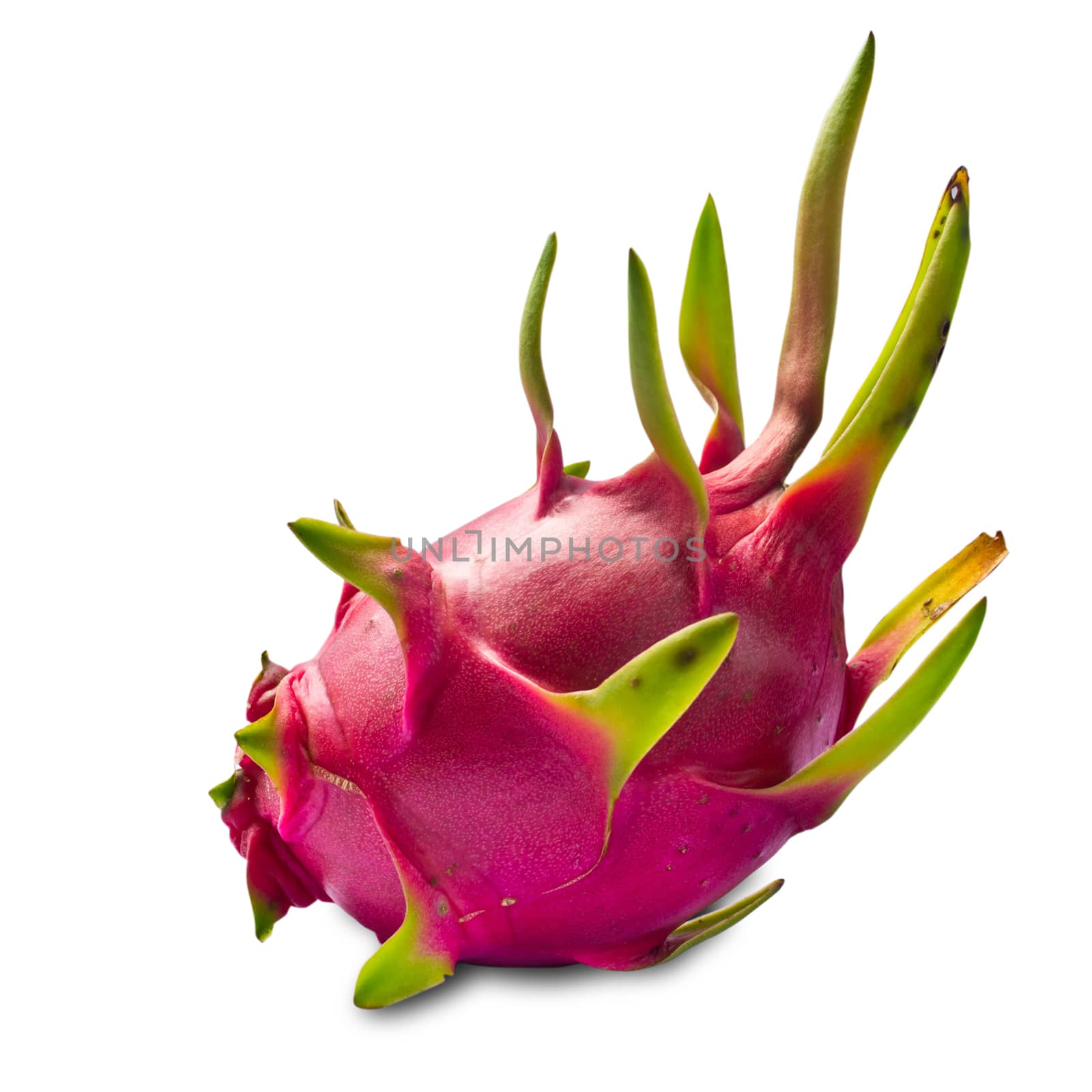 Dragon fruit on a white background