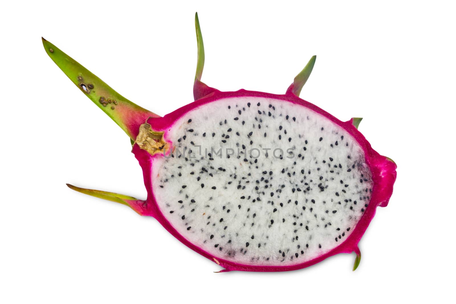 Dragon fruit on a white background by Thanamat