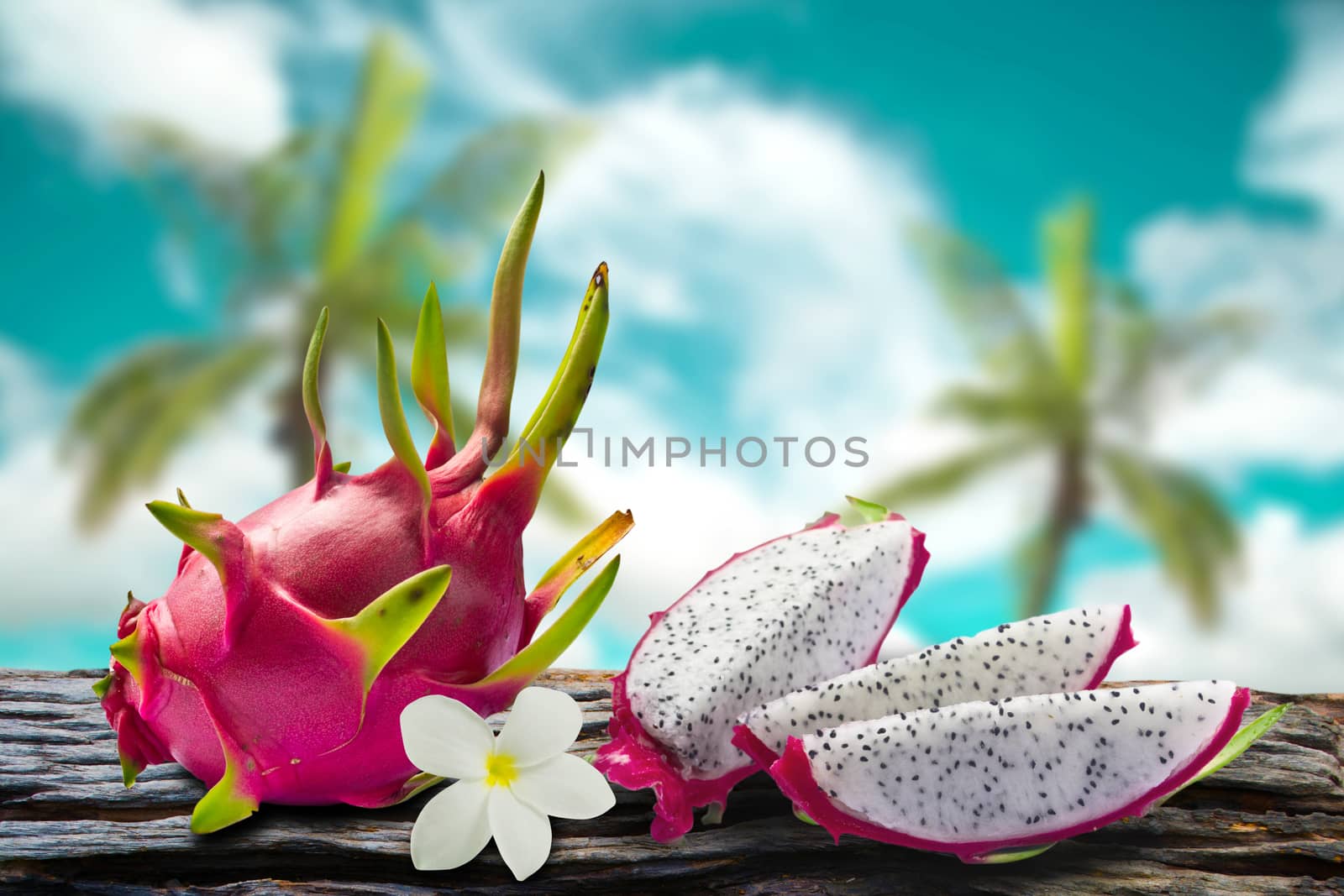 Dragon fruit and flower with  coconut and sky blur on background by Thanamat
