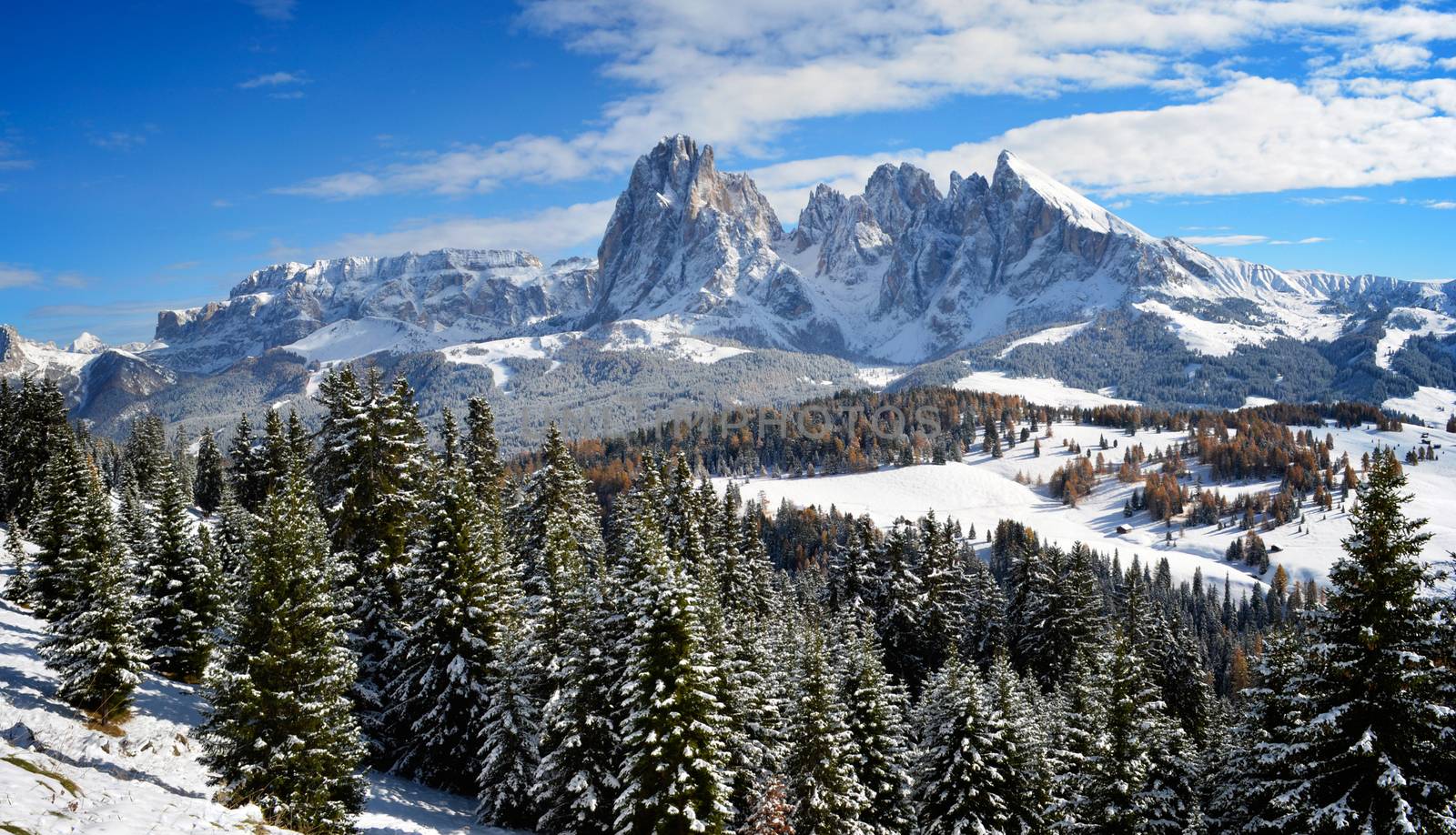 View on the Langkofel and Plattkofel (Sassolungo and Sassopiatto) dolomites mountains over the Alpe di Siusi or Seiser Alm in South Tyrol, Italy in winter.
