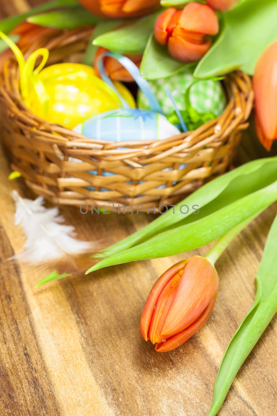 Easter eggs in basket and orange tulip by Slast20