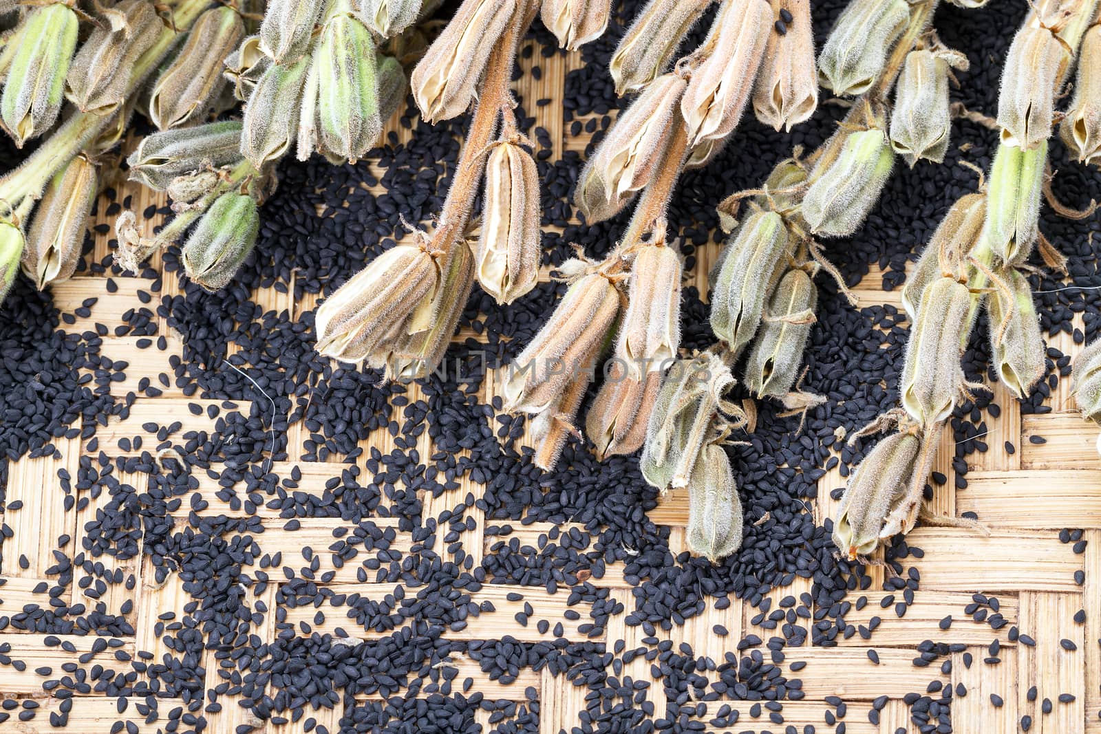 Sesame seed and plant on bamboo basket- closed up