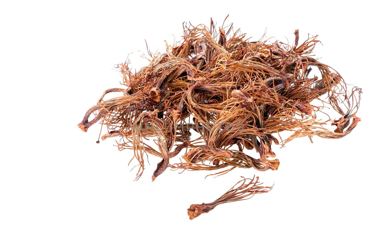 BOMBAX CEIBA LINN - dried androecium on white background for food