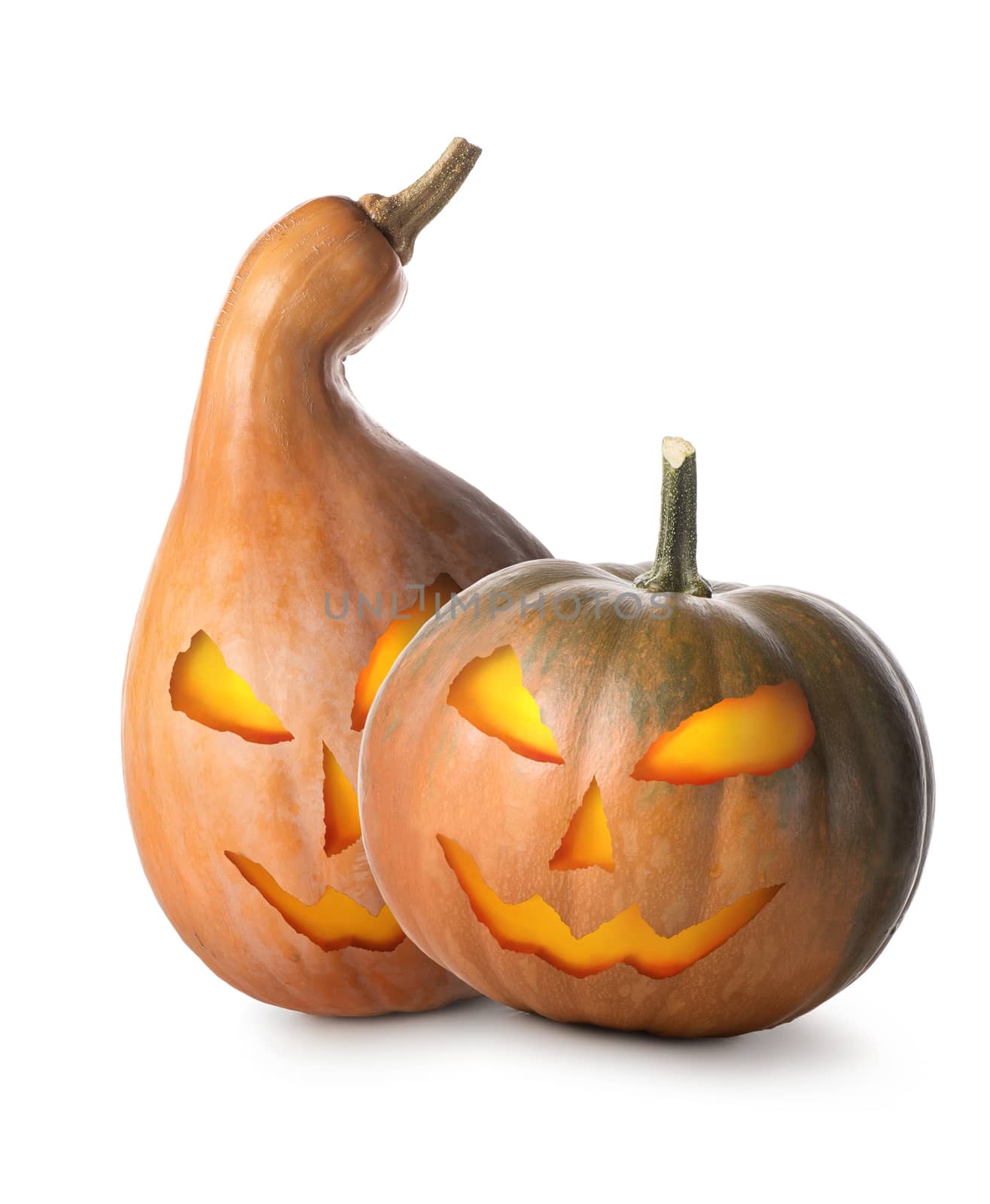 Halloween pumpkins isolated on a white background