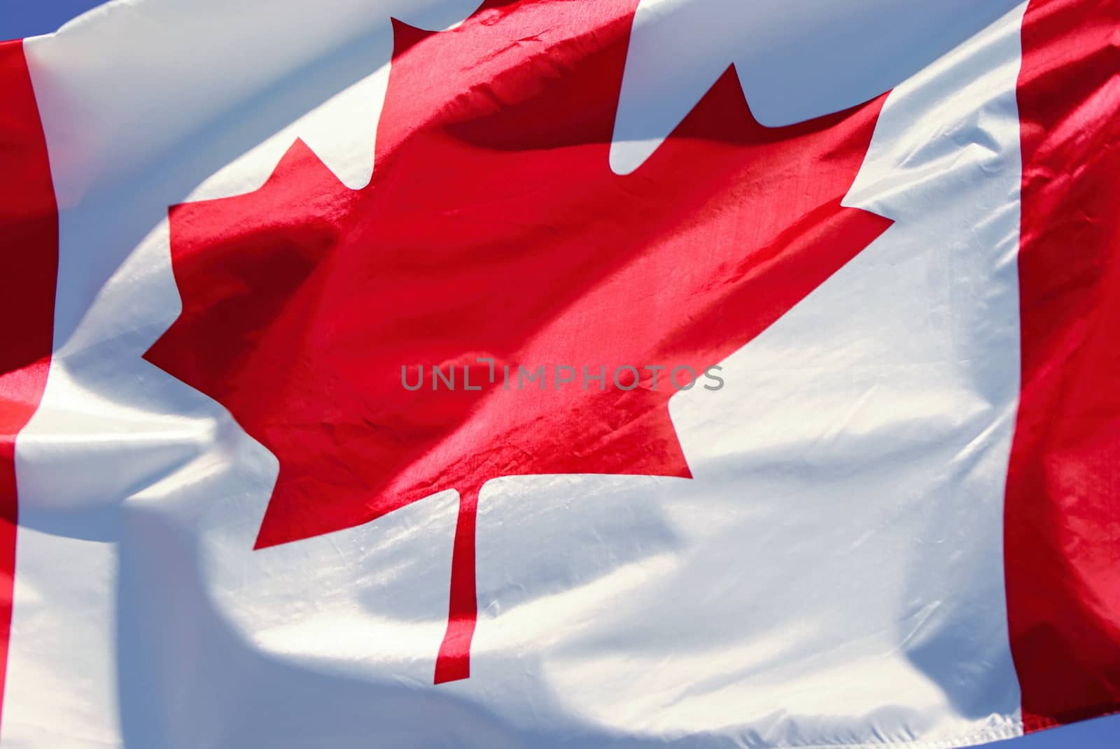 Photo shows waving Canadian flag.