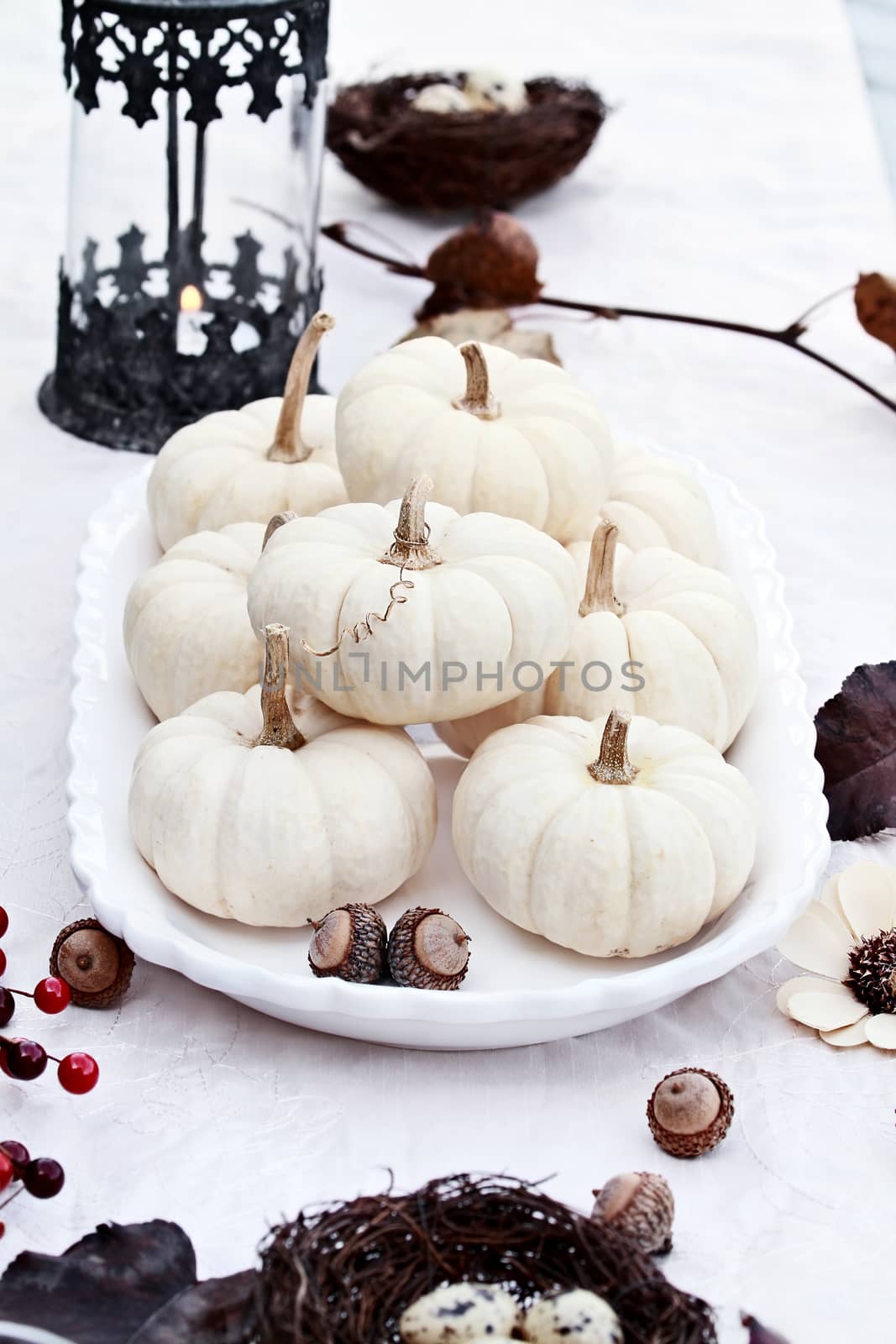 White Autumn Table Setting by StephanieFrey