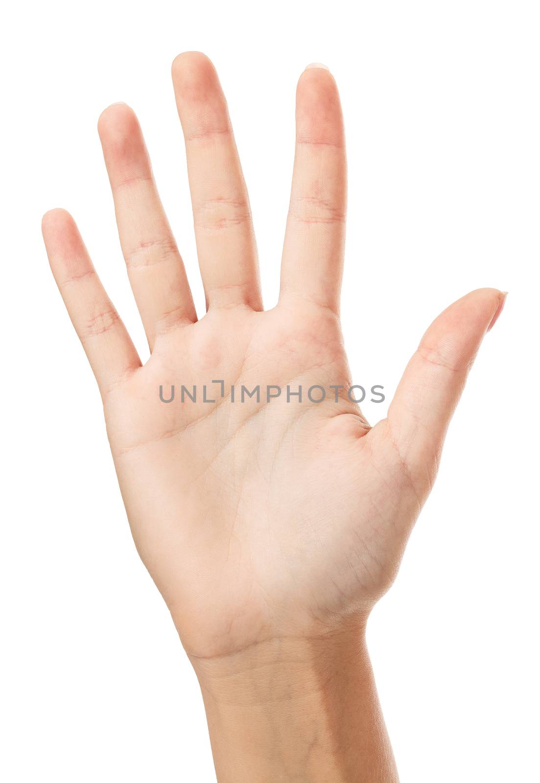 Female hand, white background, copyspace