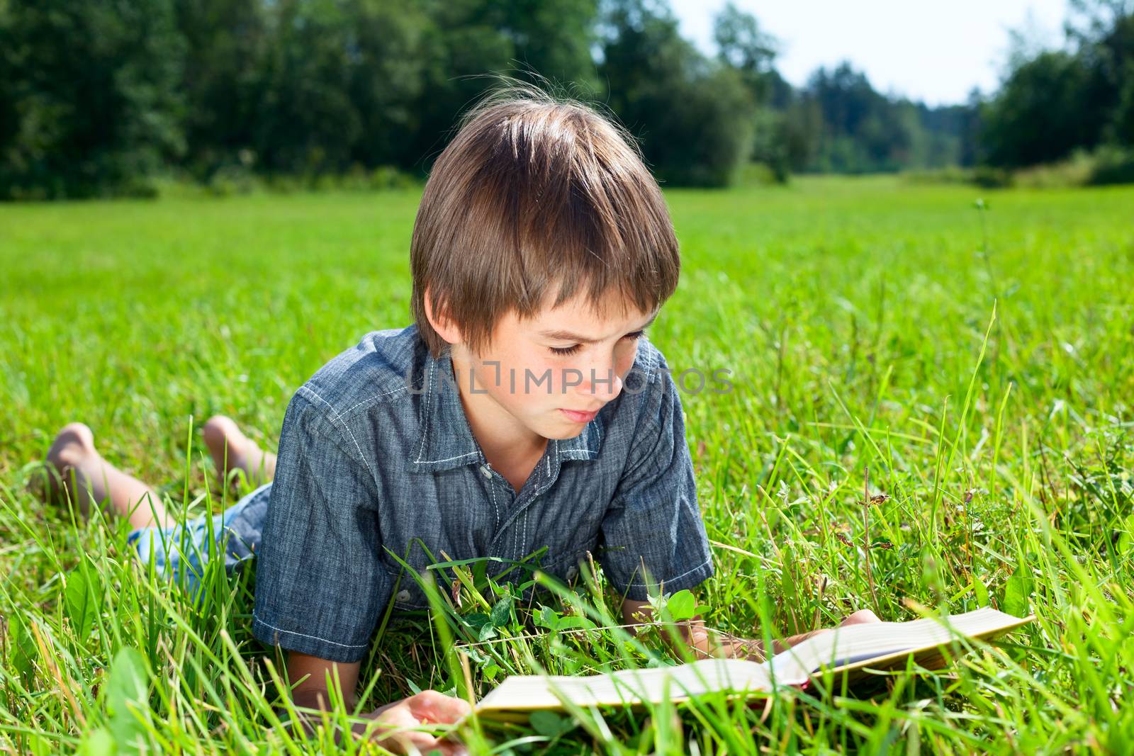 Boy lying in grass reading a book in a summer field