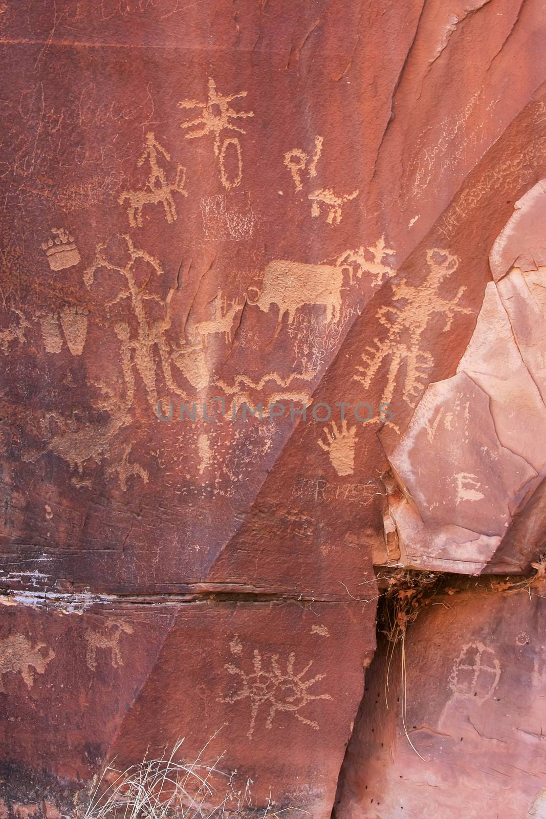 Indian petroglyphs, Newspaper Rock State Historic Monument, Utah by donya_nedomam