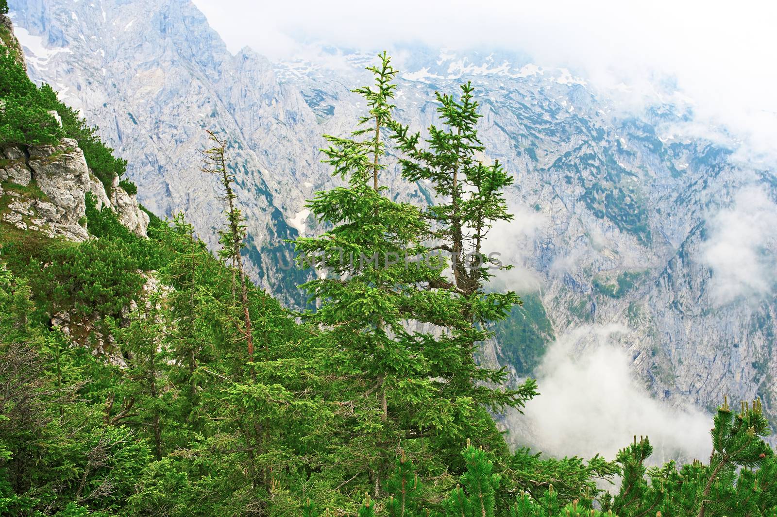 Bavarian landscape by haveseen