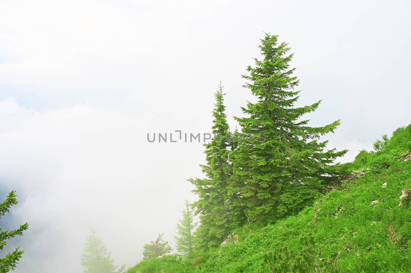 Bavarian landscape at Alps with low clouds