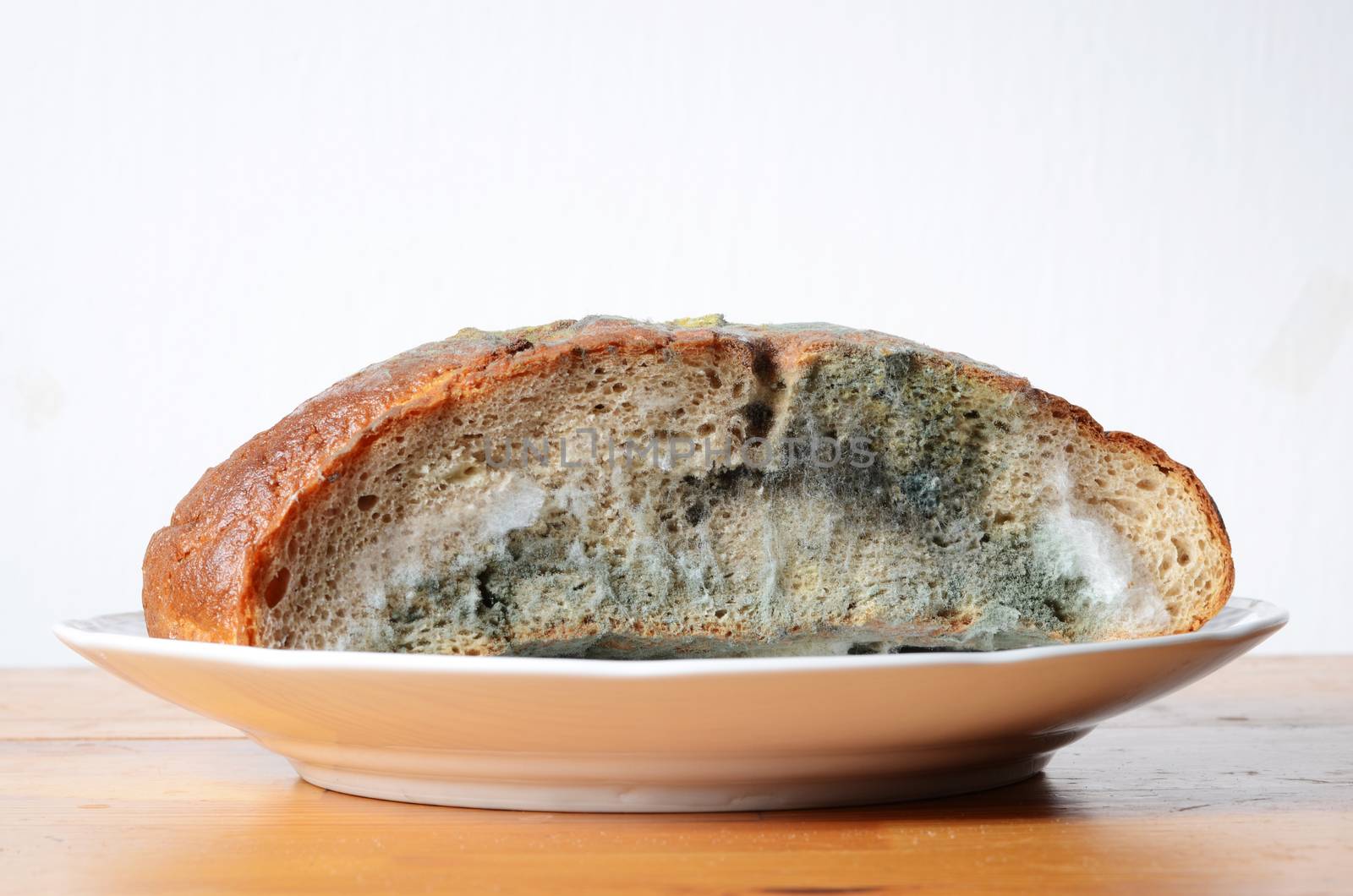 moldy bread