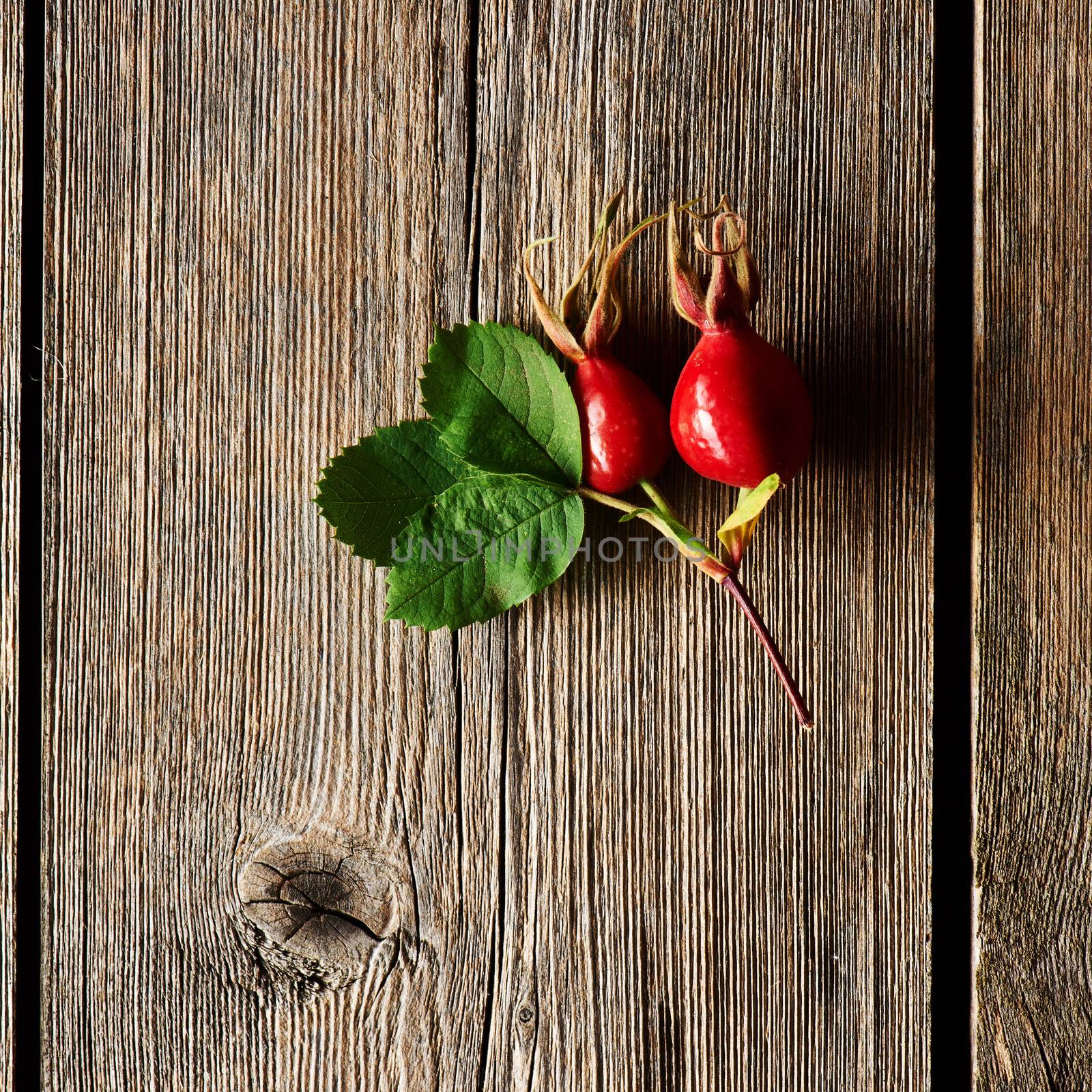 Rose hip over old wooden background by haveseen