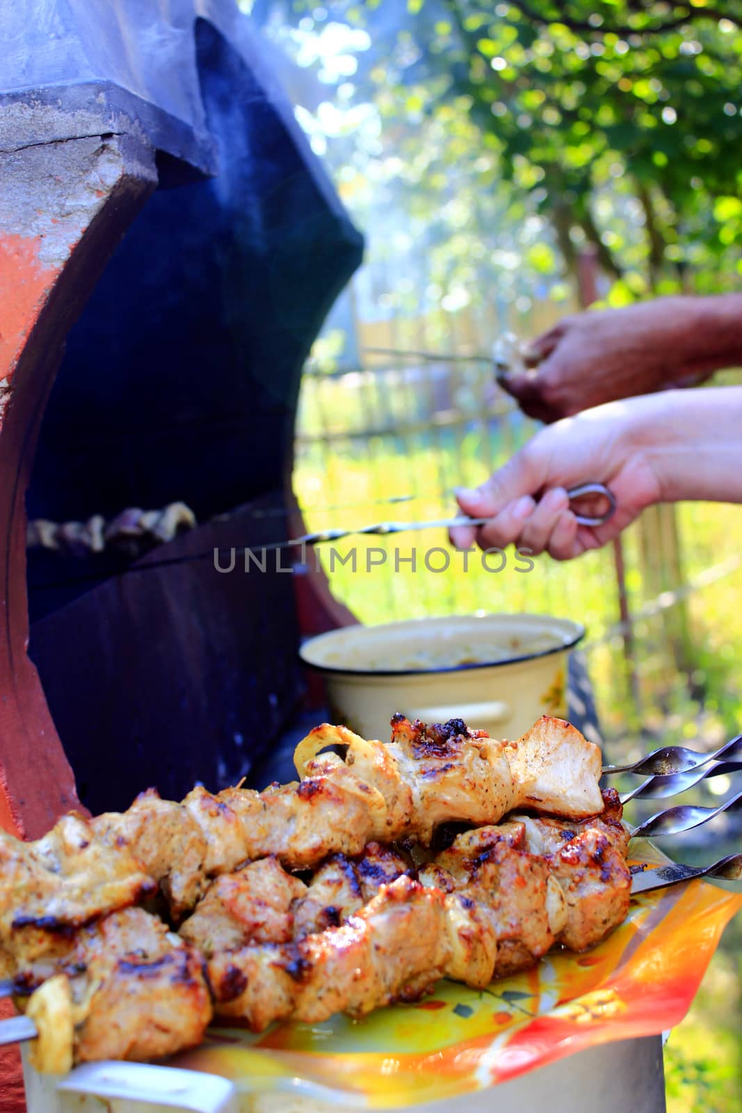 appetizing barbecue with great pieces of meat on the fire