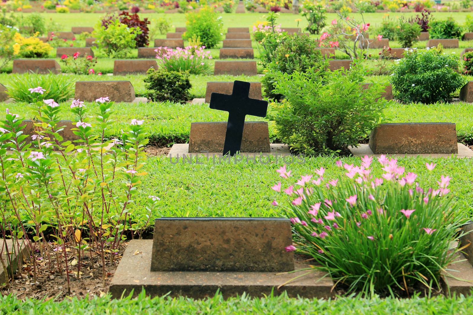 Cemetery in Kanchanaburi Thailand