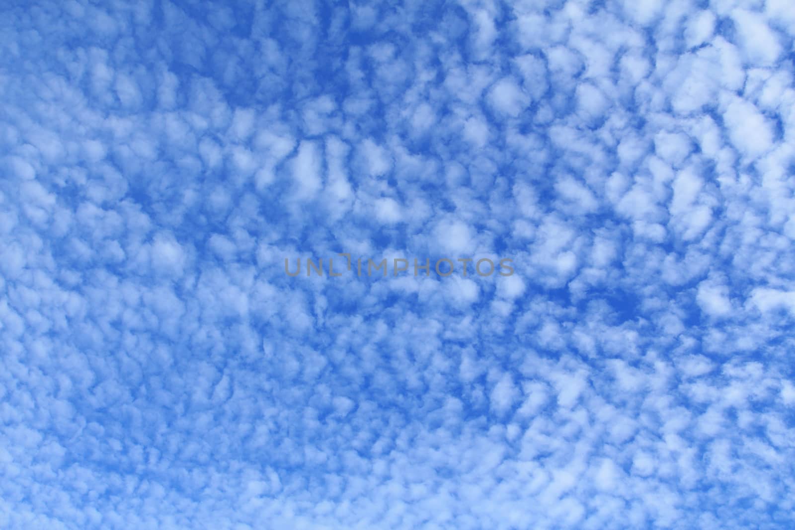 Blue sky with cloud