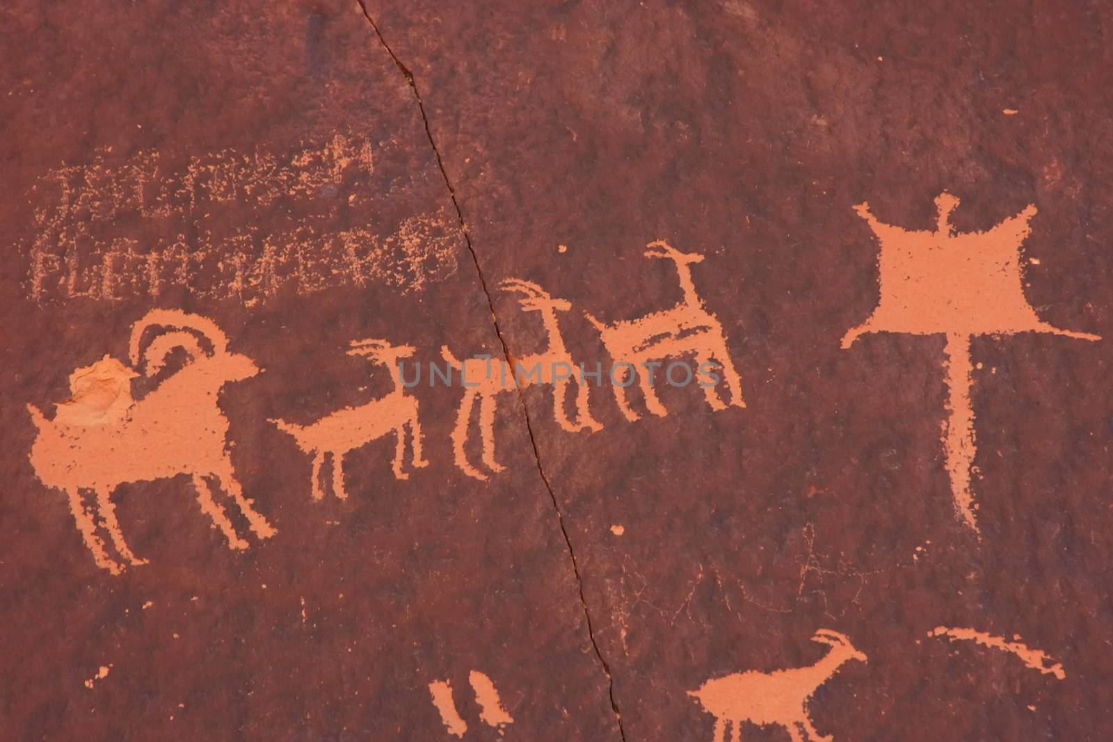 Indian petroglyphs, Newspaper Rock State Historic Monument, Utah by donya_nedomam