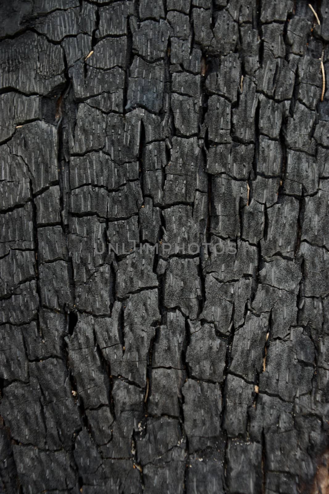 surface of charcoal