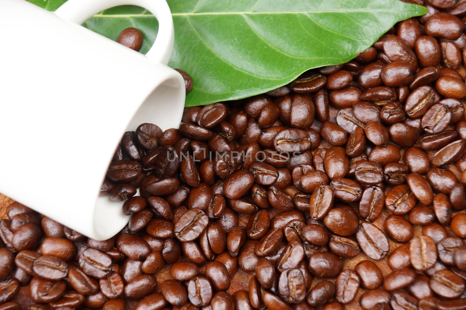 Coffee beans on the wooden background.