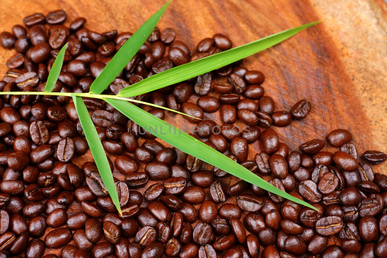 Coffee beans on the wooden background.