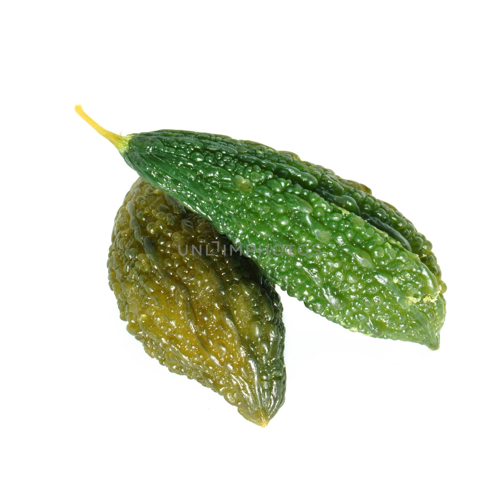 Bitter Cucumber preserved
(Momordica charantia L.)
