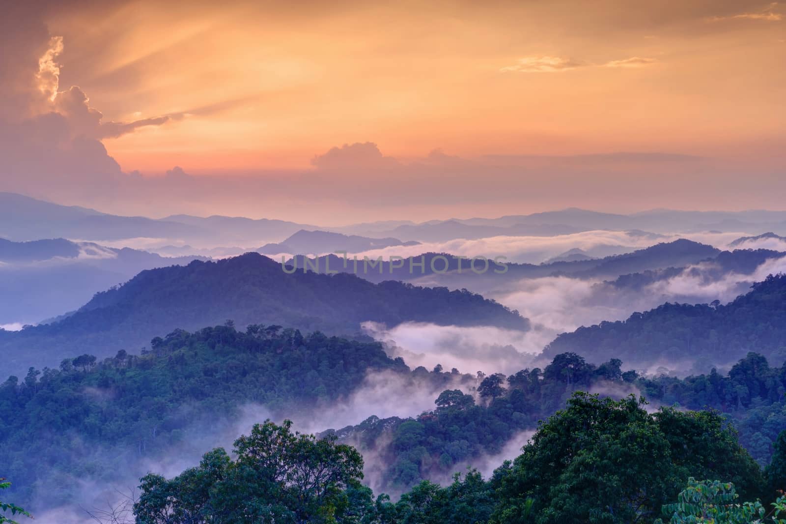 Twilight landscape in rain forest, HDR process. by ngungfoto