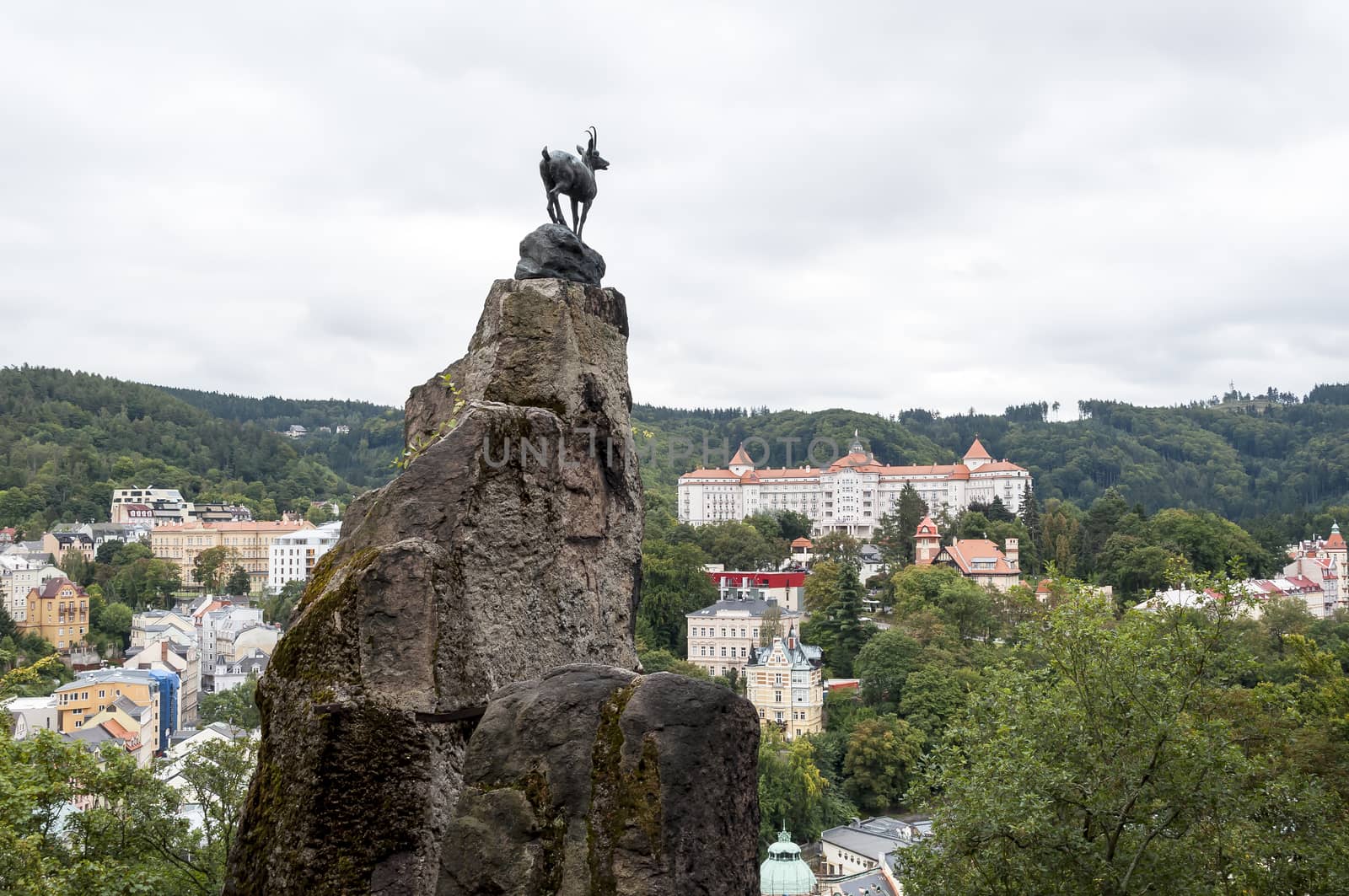 Deer leap lookout: mountain goat standing on a rock, spa town of Karlovy Vary.