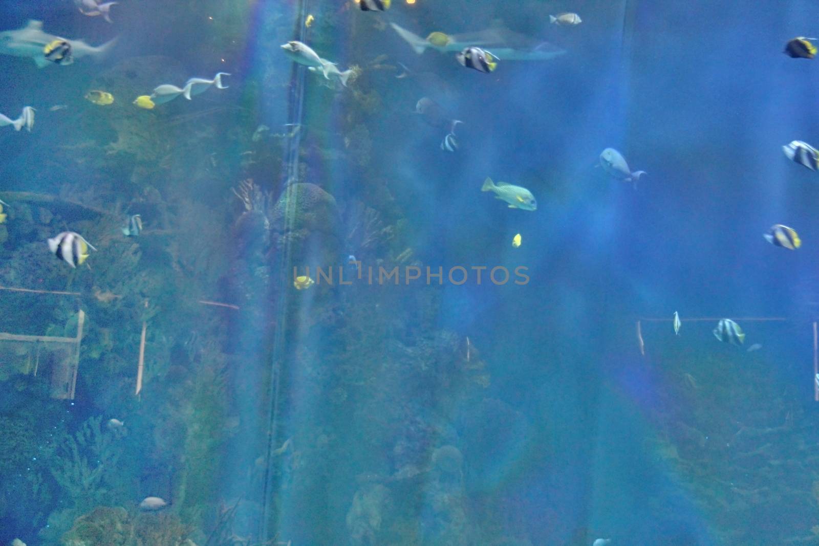 Photo of Oceanographic Parc, Valencia made in the late Summer time in Spain, 2013