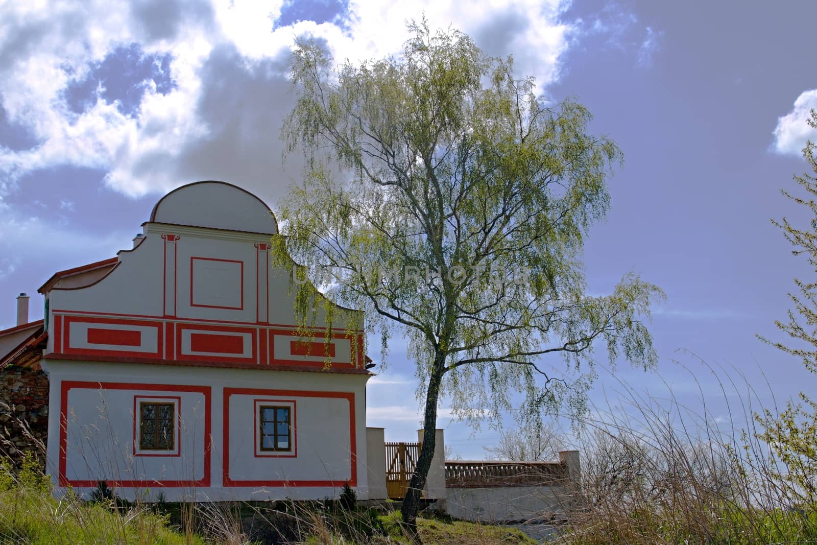 Photo shows old village house with accompanied tree.