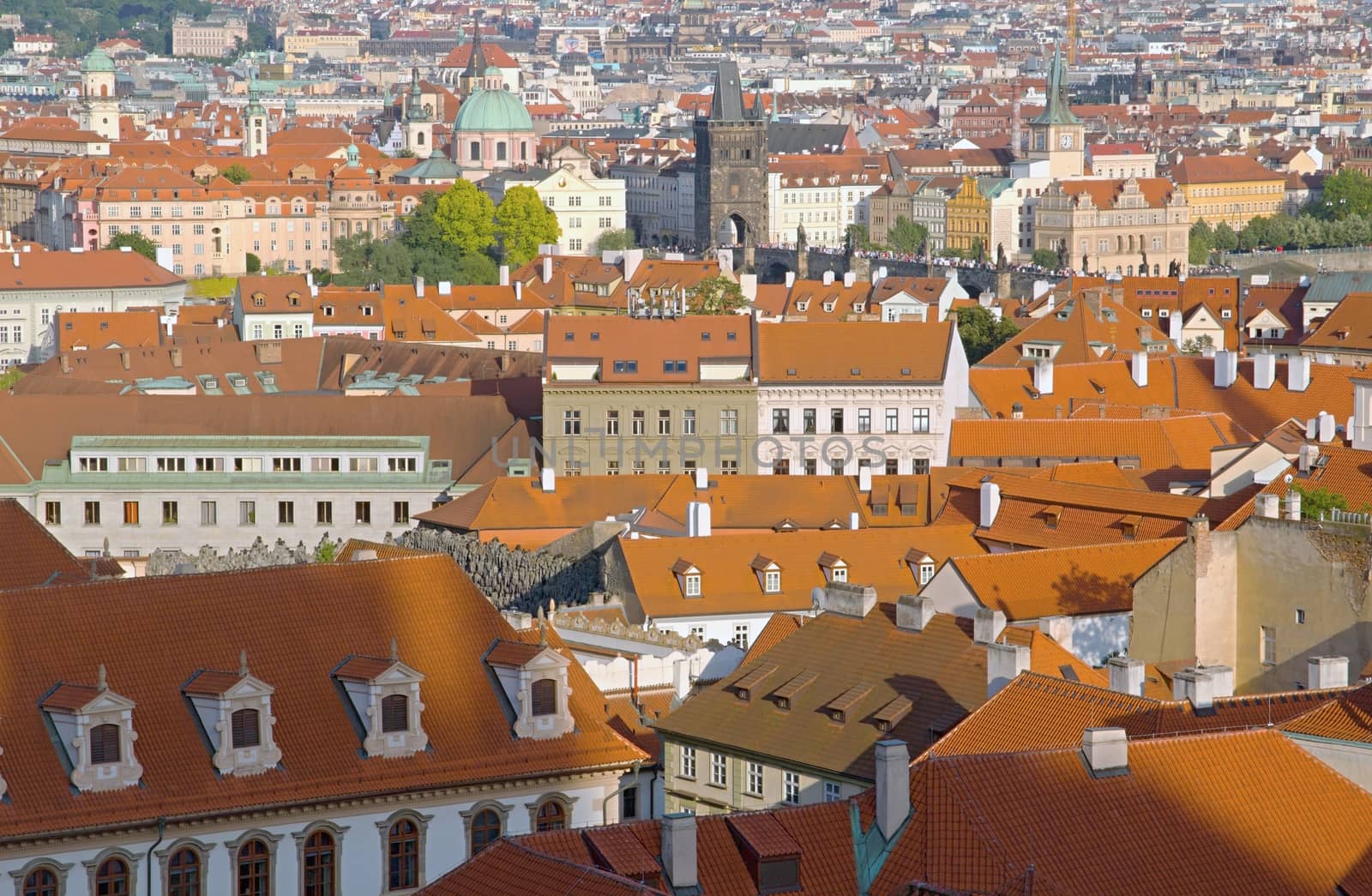 Photo shows general view onto city red roof houses.