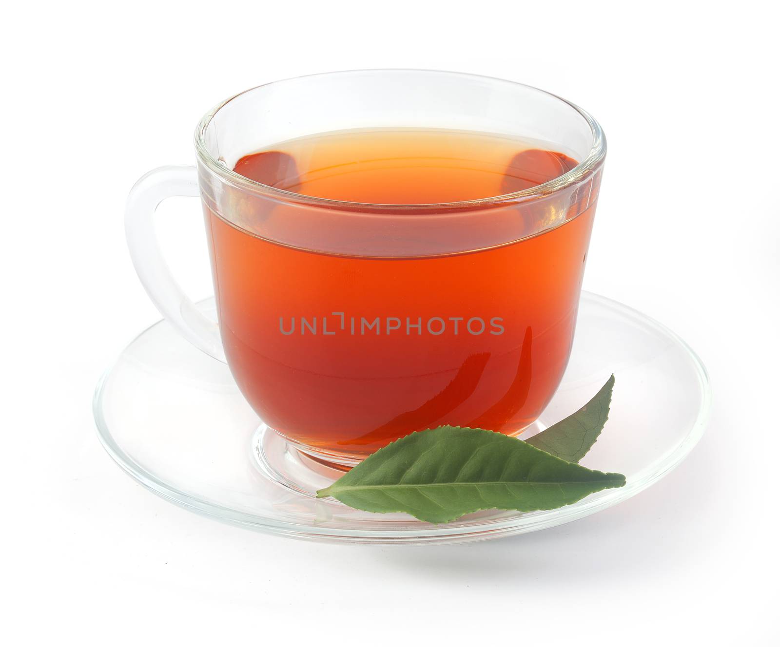 Transparent tea cup with fresh green tea leaves on the white
