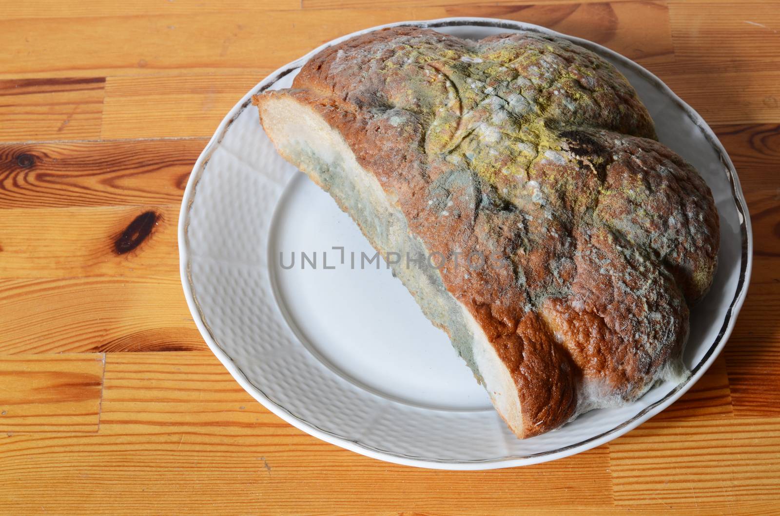 moldy bread