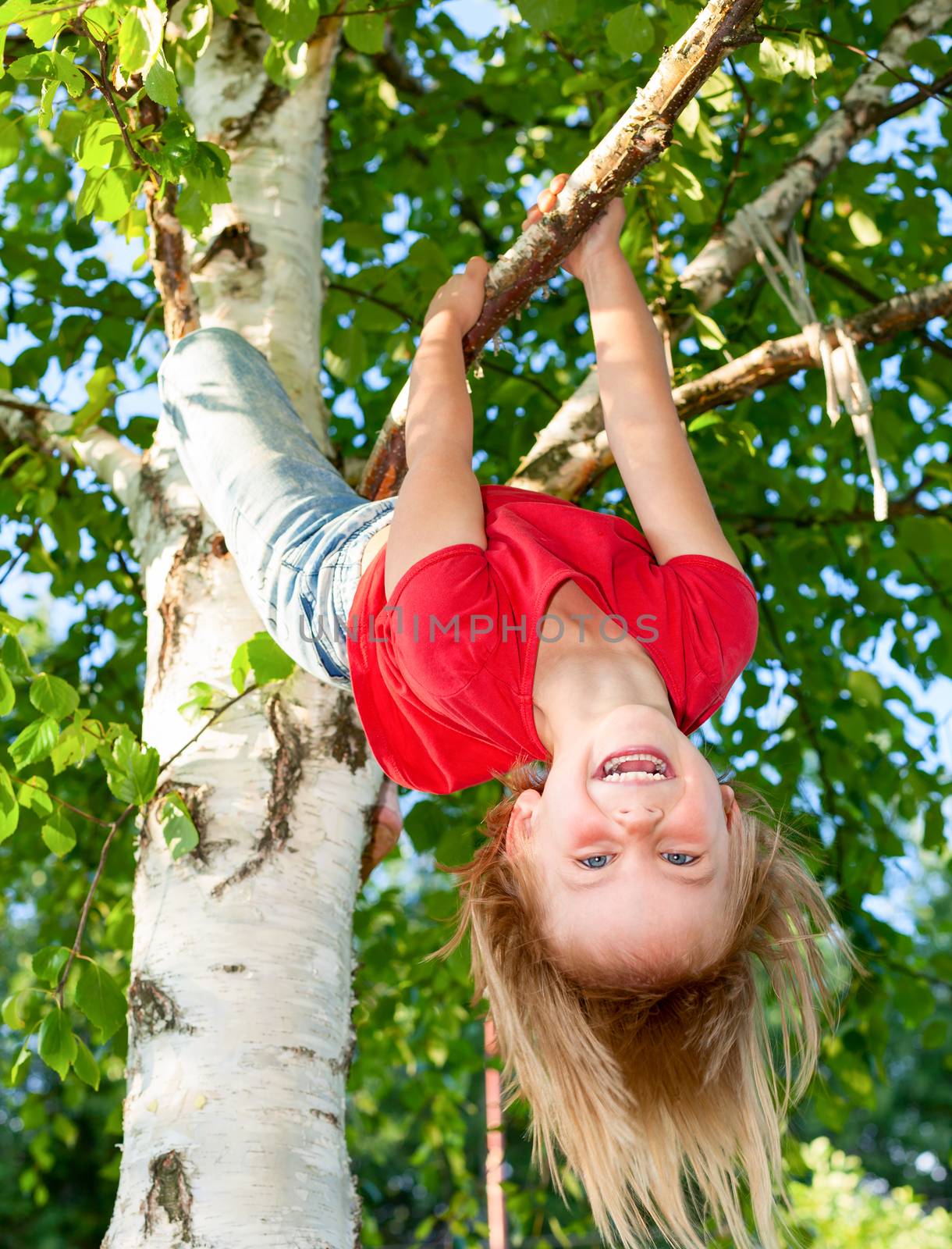 Little girl having fun playing on birch tree