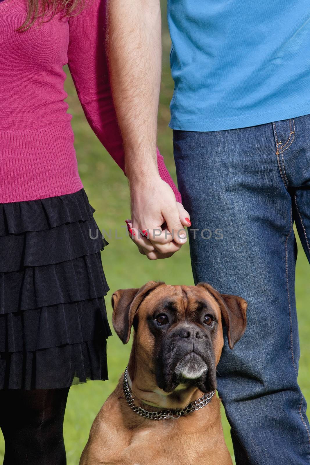 Couple Holding Hands with their Dog by courtyardpix