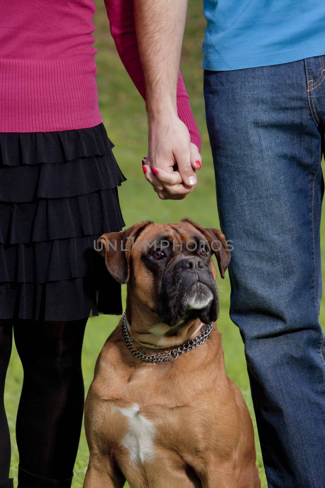 Couple Holding Hands with their Dog in Front of them