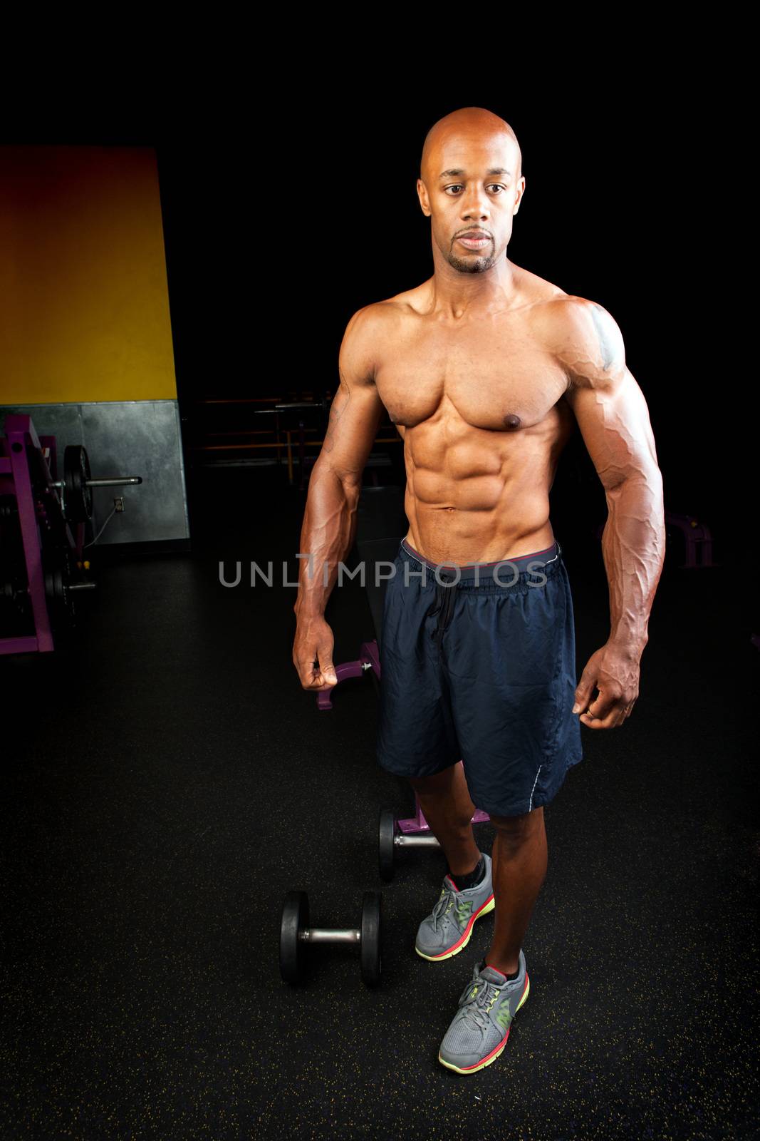Muscle Fitness Physique by graficallyminded