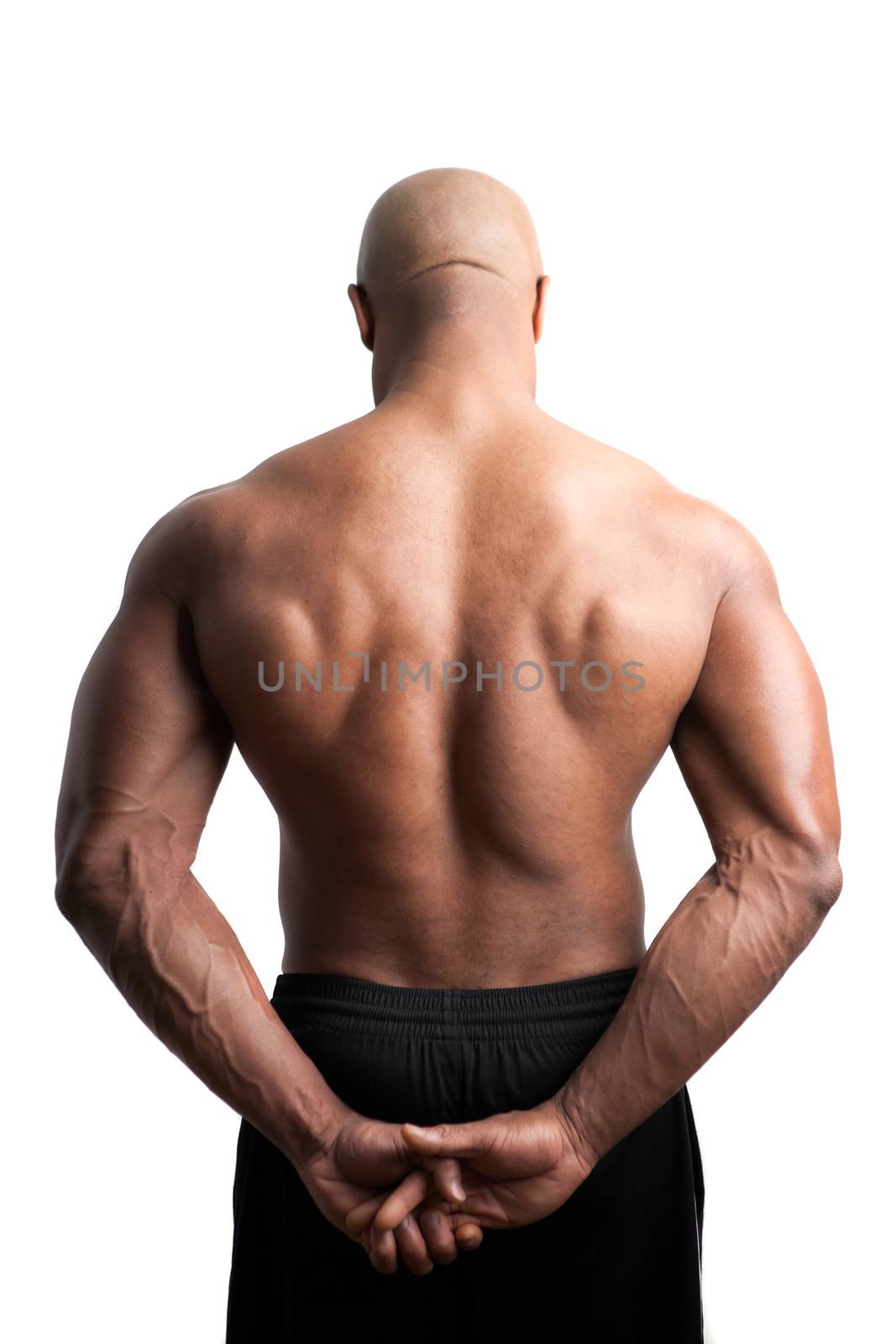 Muscular Back and Shoulders by graficallyminded