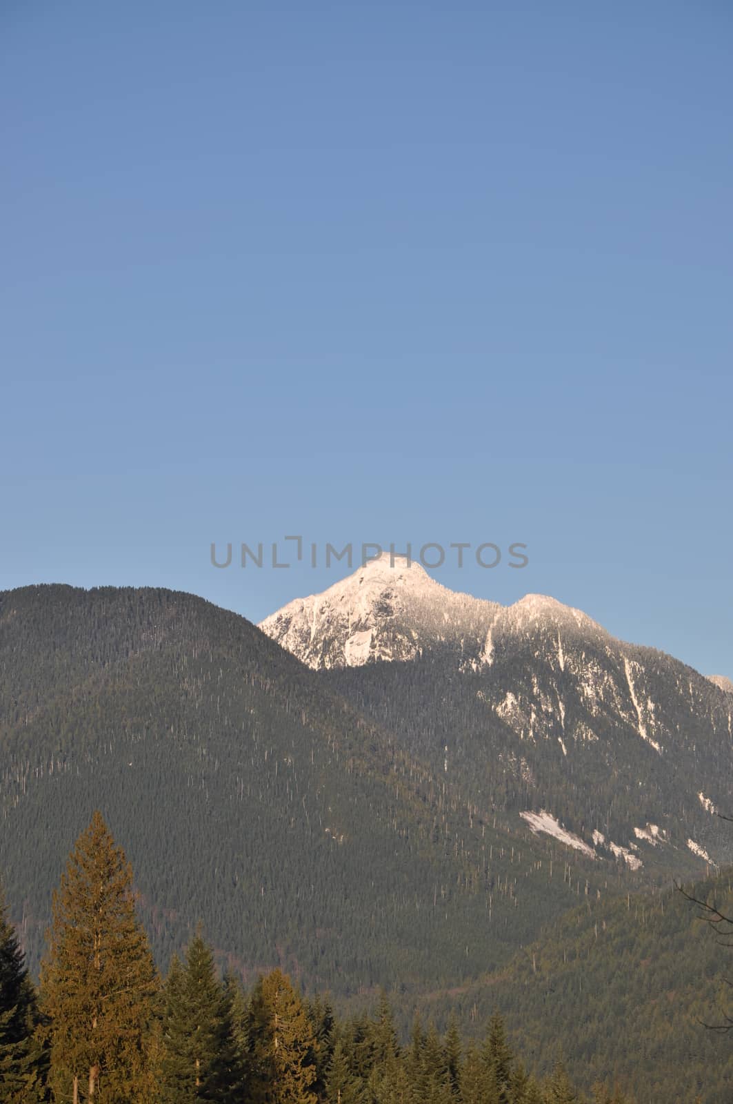 Landscape of snow mountain