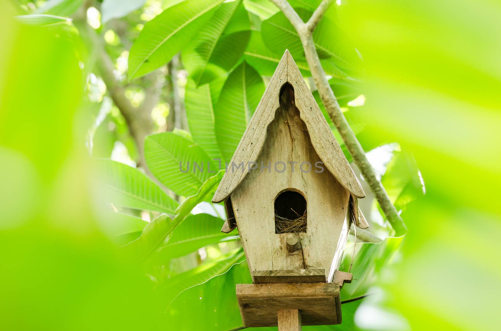 Little wood bird house in the garden nature