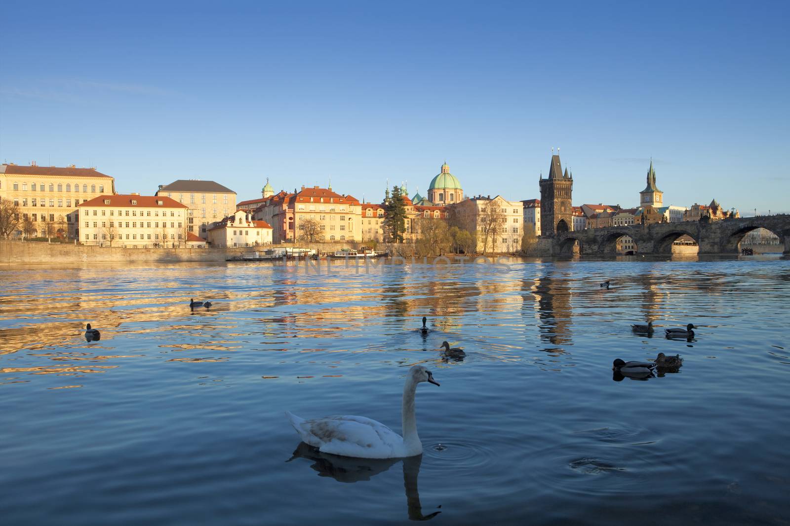 prague charles bridge by courtyardpix