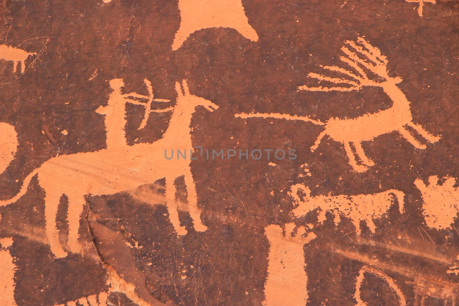 Indian petroglyphs, Newspaper Rock State Historic Monument, Utah by donya_nedomam