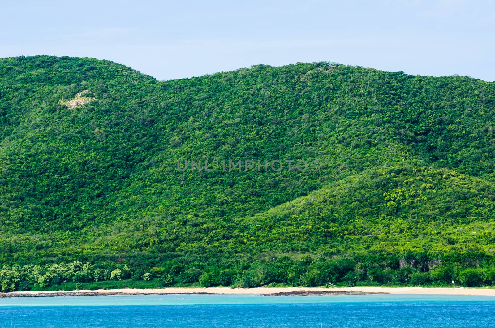 Green island and sea nature landscape by sweetcrisis