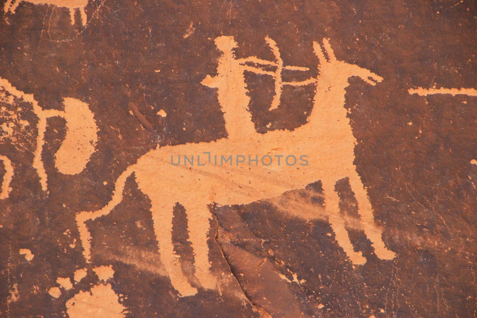 Indian petroglyphs, Newspaper Rock State Historic Monument, Utah by donya_nedomam