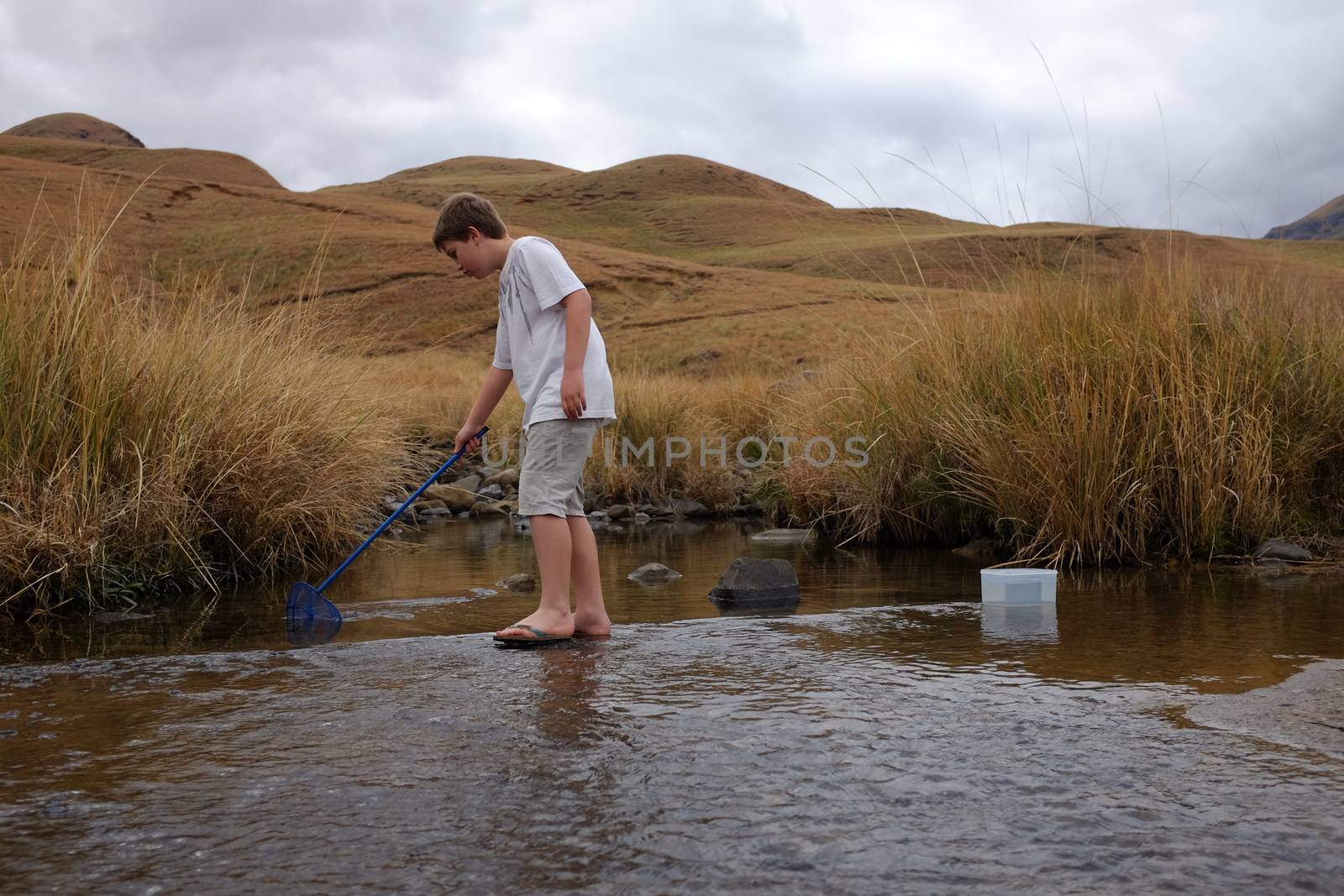 Vacation boy catching crab at river by alistaircotton