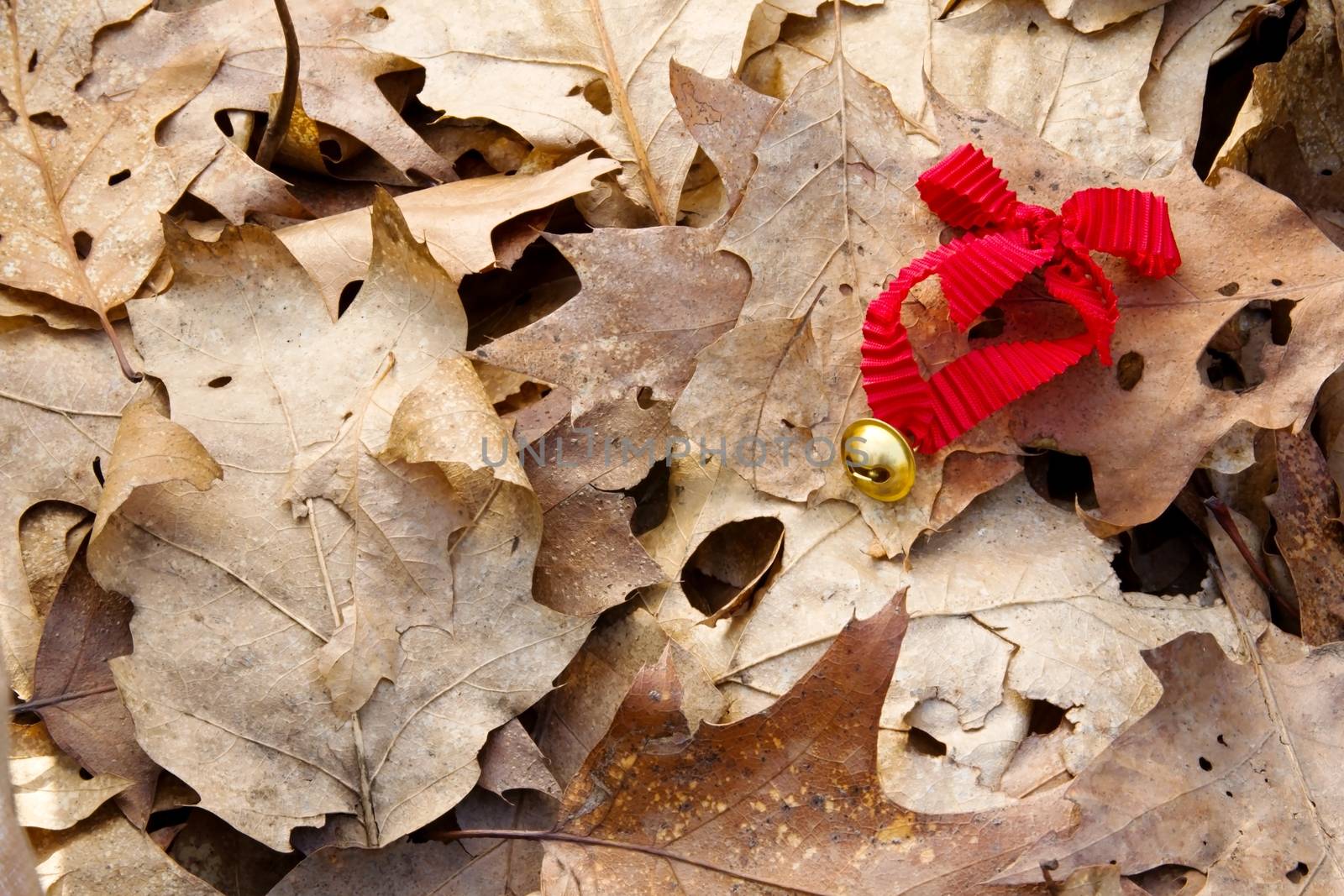 Photo shows detail of jingle bell with red ribbon in the wood