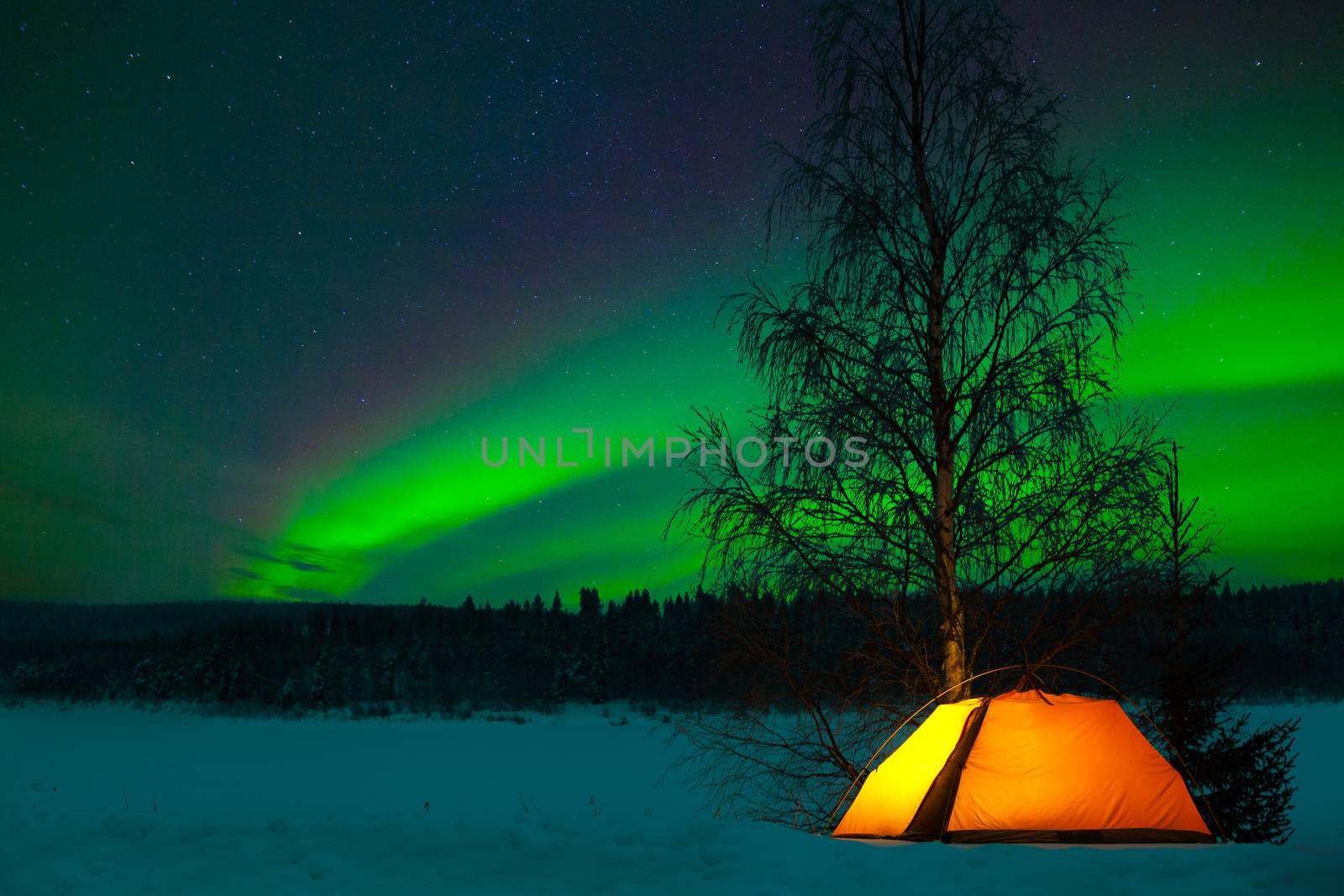 Camping in the north with the northern lights overhead - Aurora Borealis