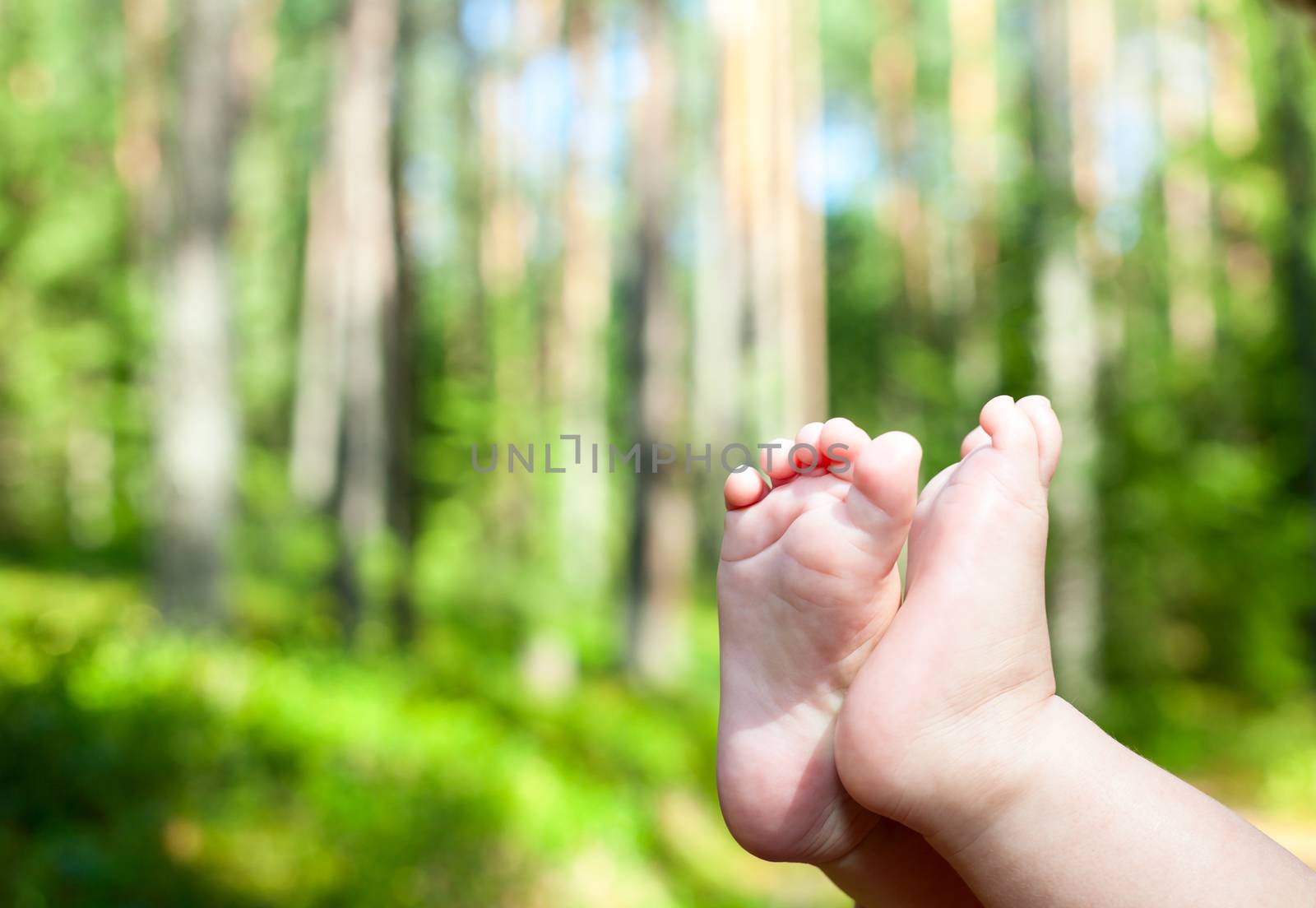 Little child gets his feet into the fresh air in a summer forest